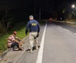 Jovem desaparecido há 7 meses no RJ é resgatado na BR 101, em Cachoeiro