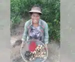 Sementes geram renda para indígenas em cidade do ES