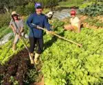 Produtores rurais do ES são homenageados no Dia da Agricultura Familiar