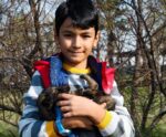 Pets e a volta às aulas: como minimizar o estresse de separação