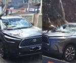 Susto! Árvore cai e destrói carro que passava em rua de Cachoeiro