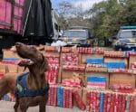 PRF apreende 2 toneladas de maconha escondida em carreta