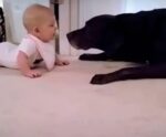 “Iti malia”: bebê se aproxima demais de cachorra e reação do animal encanta