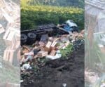 Caminhão carregado com legumes tomba na BR-101, em Rio Novo do Sul