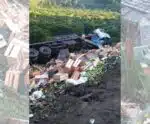 Caminhão carregado com legumes tomba na BR-101, em Rio Novo do Sul