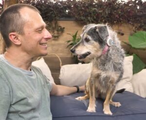 Estopinha, 1ª ‘influencer pet’, é liberada para voltar para casa por veterinário Estopinha