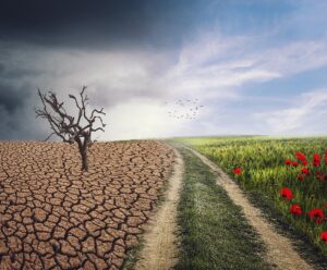 Jovens movem ação judicial contra países por mudanças climáticas