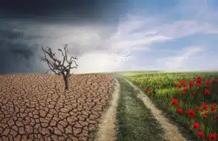 Justiça climática