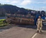 VÍDEO | Caminhão carregado com madeiras tomba na ES 482 em Morro Grande