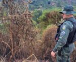 Caparaó: após queimada, polícia pune suspeito por crime ambiental
