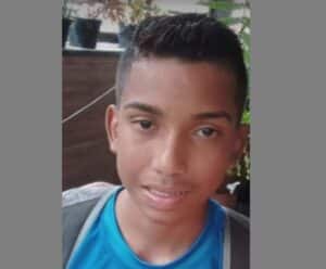Adolescente cai de árvore e morre em Guaçuí