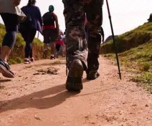 Agroturismo: feira fomenta setor estratégico para economia em Cachoeiro