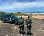 Confira os resultados operacionais da Polícia Militar Ambiental em 2023