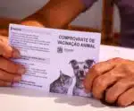 Pacotuba e Burarama recebem campanha de vacinação antirrábica neste sábado