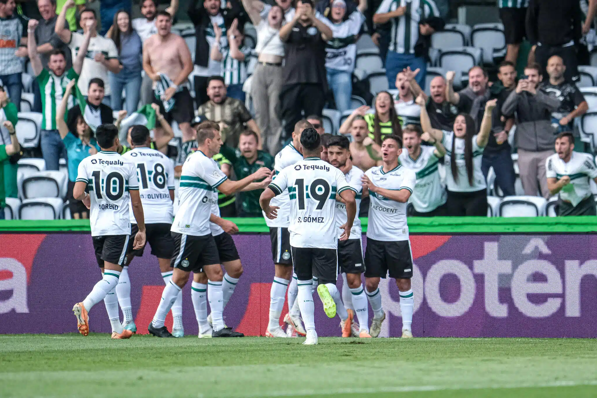 Jogadores comemorando