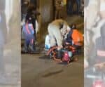 Criança fica presa em bueiro enquanto voltava da escola em Cachoeiro