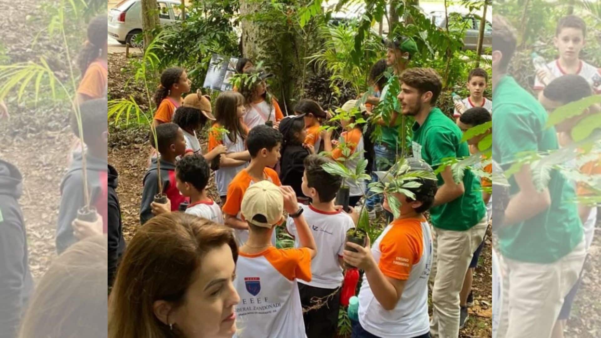 Escola Fundação Deolindo Perim