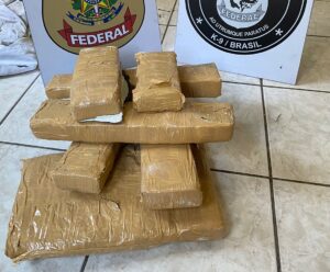 PF intercepta carga no ES e encontra 7 kg de droga em tábuas de carne