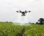 Utilização de drones na agricultura do ES divide opiniões