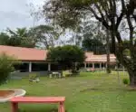 Dia do Idoso: lar promove atividades divertidas para comemorar a data