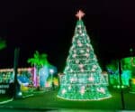 Anchieta já tem data para acender as luzes de natal da cidade
