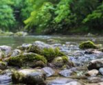 Meio ambiente e mudança do clima serão temas de conferência no Caparaó