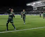 Palmeiras campeão do Brasileirão? Quais cenários dão o título já no domingo