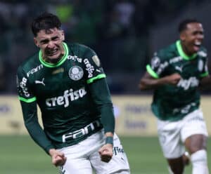 Palmeiras ultrapassa Botafogo em chances de título do Brasileirão