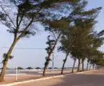 Festival de Verão agita Praia das Neves neste final de semana