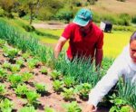 Agricultores do Sul do ES são capacitados para trabalho sustentável