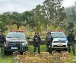São José do Calçado: PM apreende pássaros silvestres em torneio ilegal