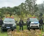 São José do Calçado: PM apreende pássaros silvestres em torneio ilegal