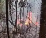 Queda de avião de pequeno porte deixa 12 mortos no Acre