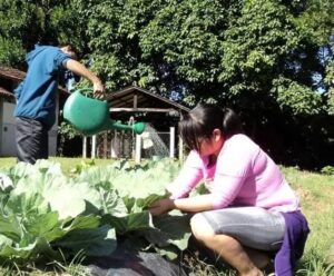 Cachoeiro: Escola Família Agrícola abre inscrições para o ano letivo de 2024 escola agrícola