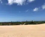 Parques estaduais estarão abertos no feriado de 02 de novembro