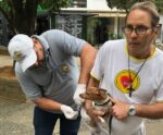 Recorde! Castelo vacina 1.412 animais contra a raiva em um único dia