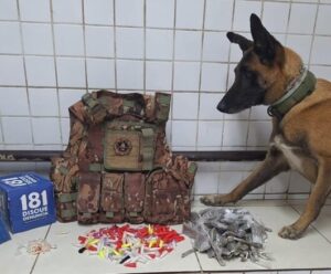Disque Denúncia ajuda na apreensão de drogas em cidade do ES