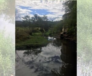 Moradores do distrito de Pacotuba reclamam da falta de limpeza em valão