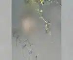 Feto é encontrado morto dentro de rio em cidade do Espírito Santo