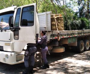 Furto de caminhão em Vitória mobiliza PM em Atílio Vivacqua. Confira o desfecho