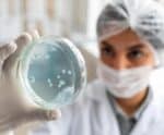 Resistência bacteriana é um dos grandes desafios da medicina