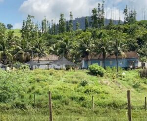 Fazenda da Santa Casa terá agroindústria para produzir queijos e iogurtes Fazenda Santa Casa