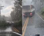 VÍDEO | Chuva de granizo provoca estragos em Vargem Alta