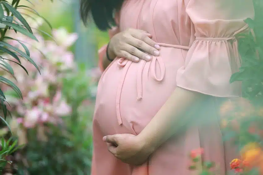 número de filhos por mulher
