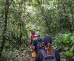 Aprovada urgência para política de turismo sustentável no ES
