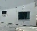 Cachorro preso em janela de prédio causa revolta em Cachoeiro