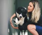 Confira os mitos e verdades sobre os cuidados com os animais no réveillon