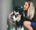 Confira os mitos e verdades sobre os cuidados com os animais no réveillon