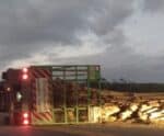 Carreta carregada com eucalipto tomba e deixa BR-101 interditada