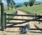Moto roubada é apreendida pela Polícia Militar na BR-101, em Mimoso